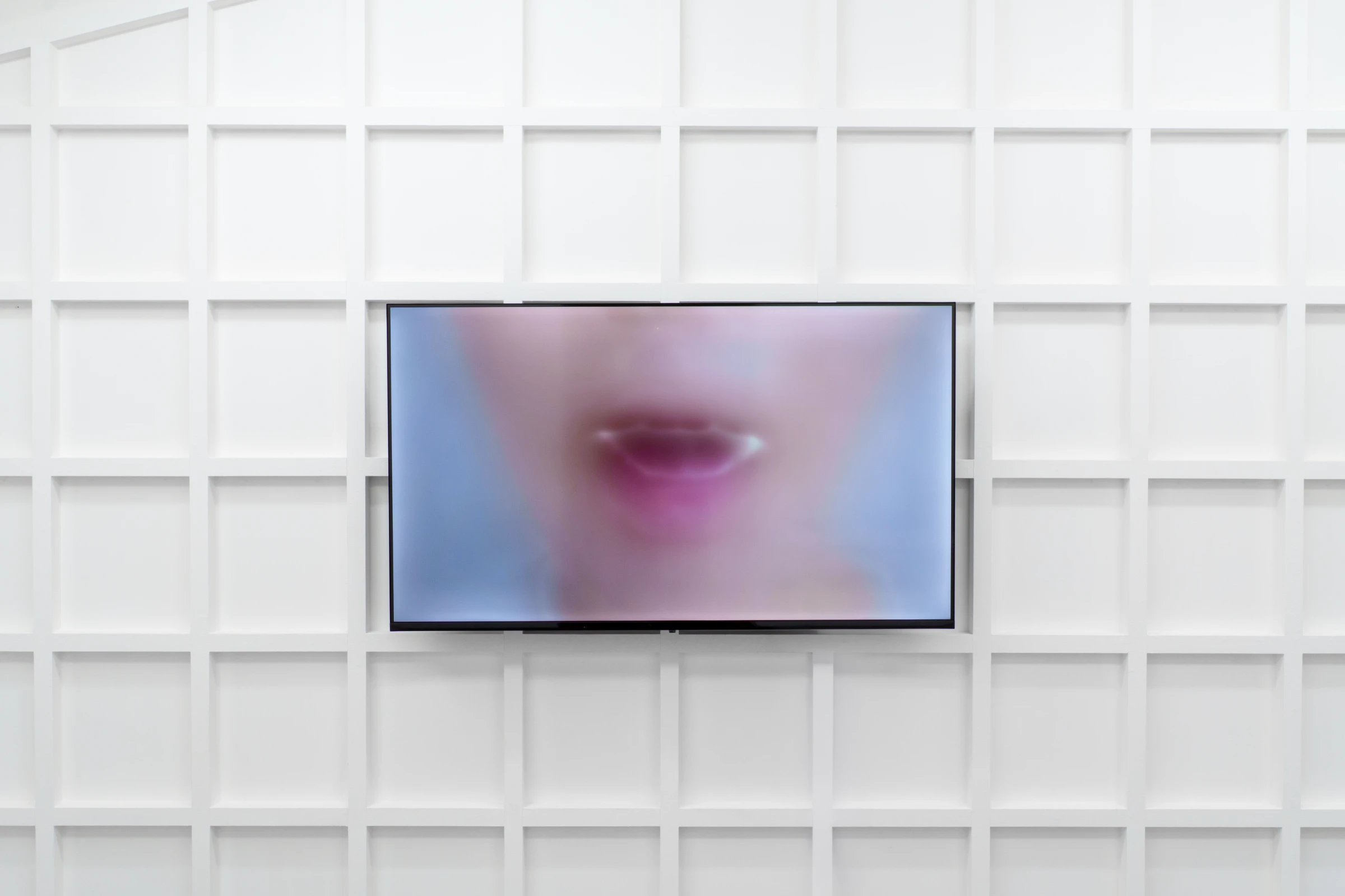 <i>Regurgitate<i>, installation view at JUNSIJANG, 2026. Photo: Haegyu Lee