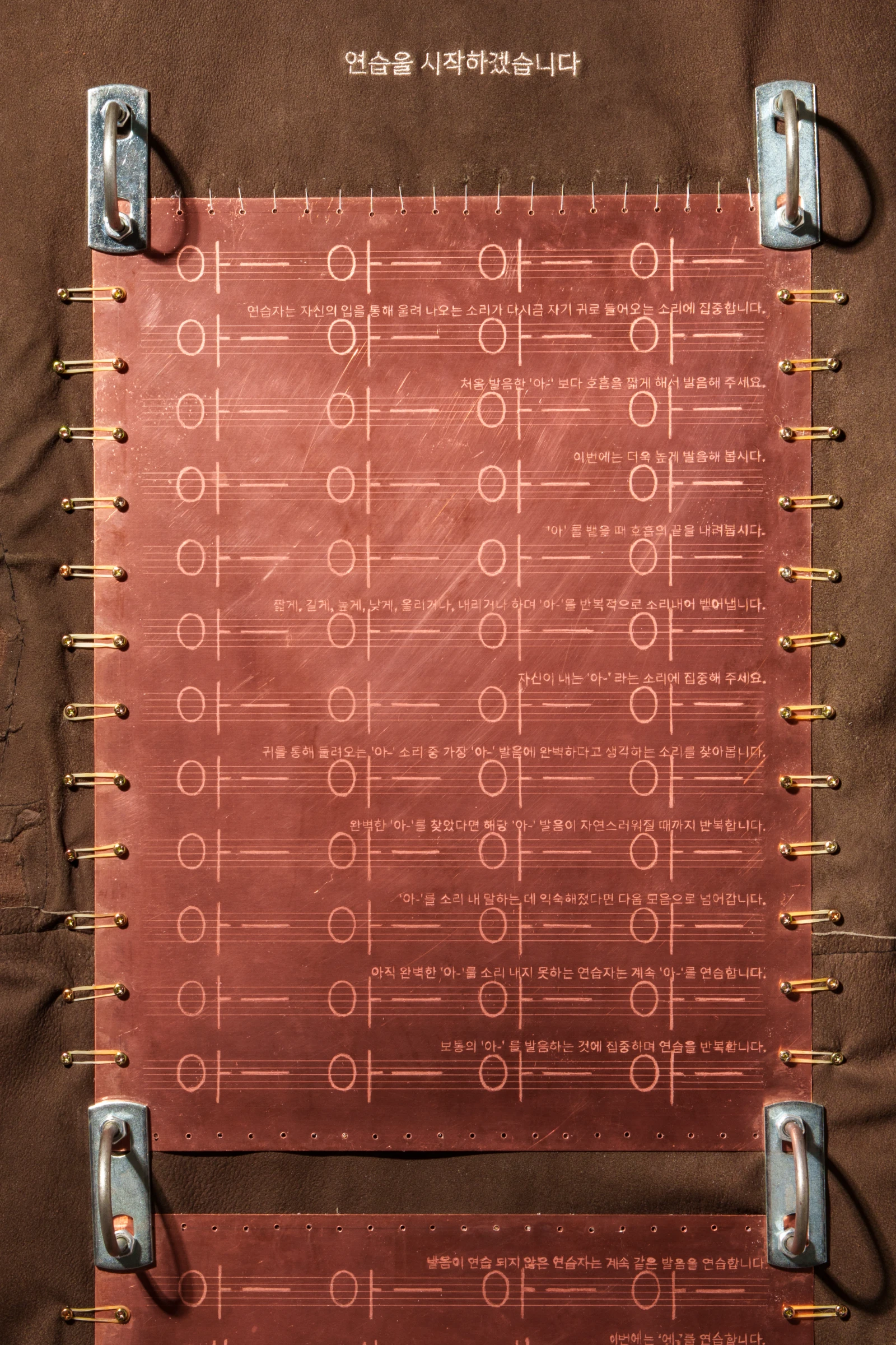 <i>Scored Skin</i>, 2026. Photo: Haegyu Lee