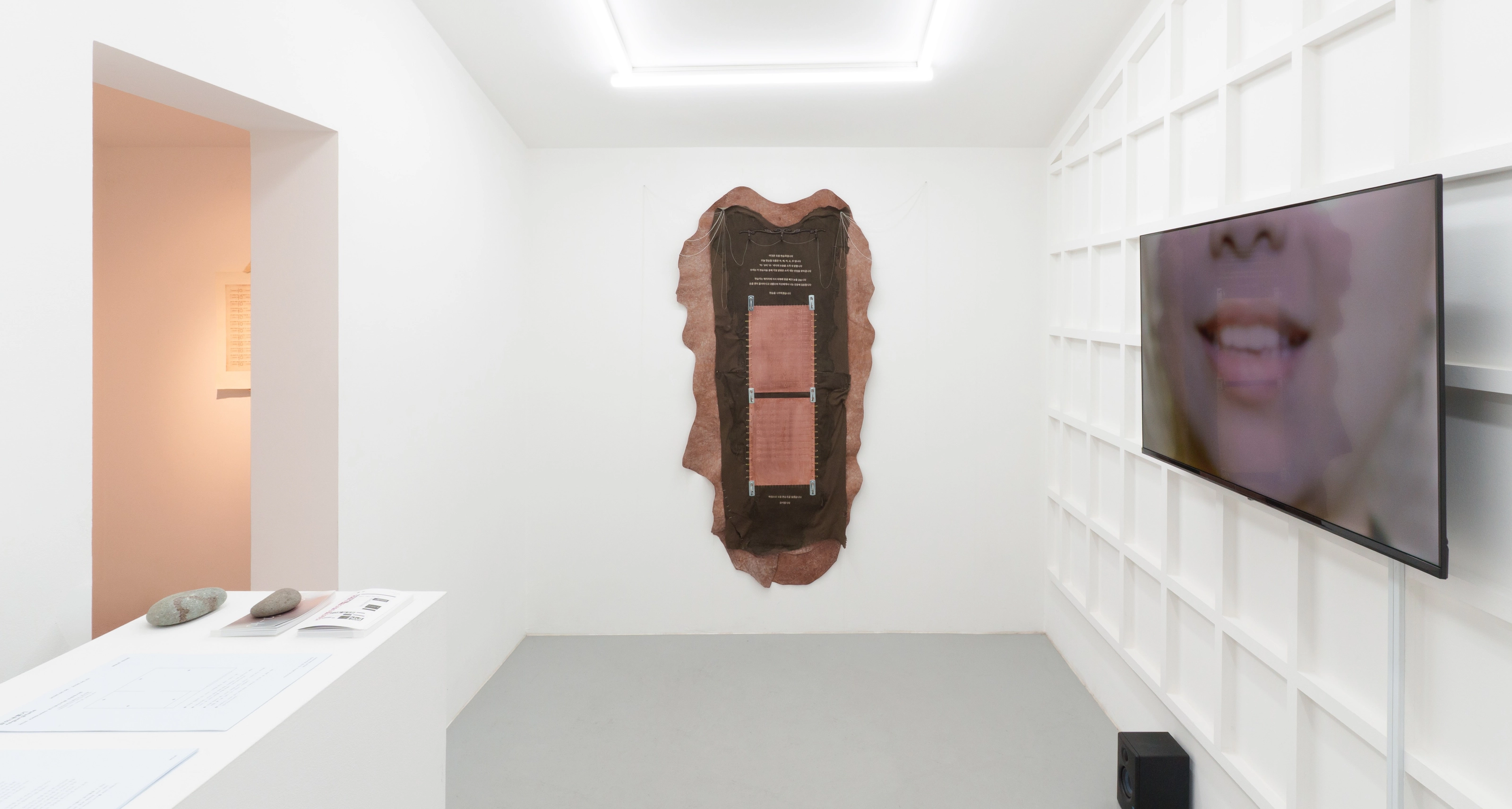 Regurgitate, installation view at JUNSIJANG, 2026. Photo: Haegyu Lee